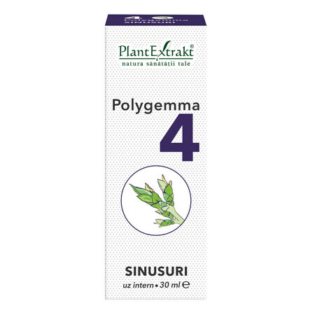 Polygemma 4, Sinussen, 30 ml, Plantenextrakt