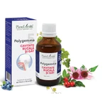 Polygemma 5, Mundhöhle und Rachen, 50 ml, Plant Extrakt