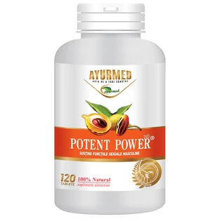 Potent Power, 100 Tabletten, Ayurmed