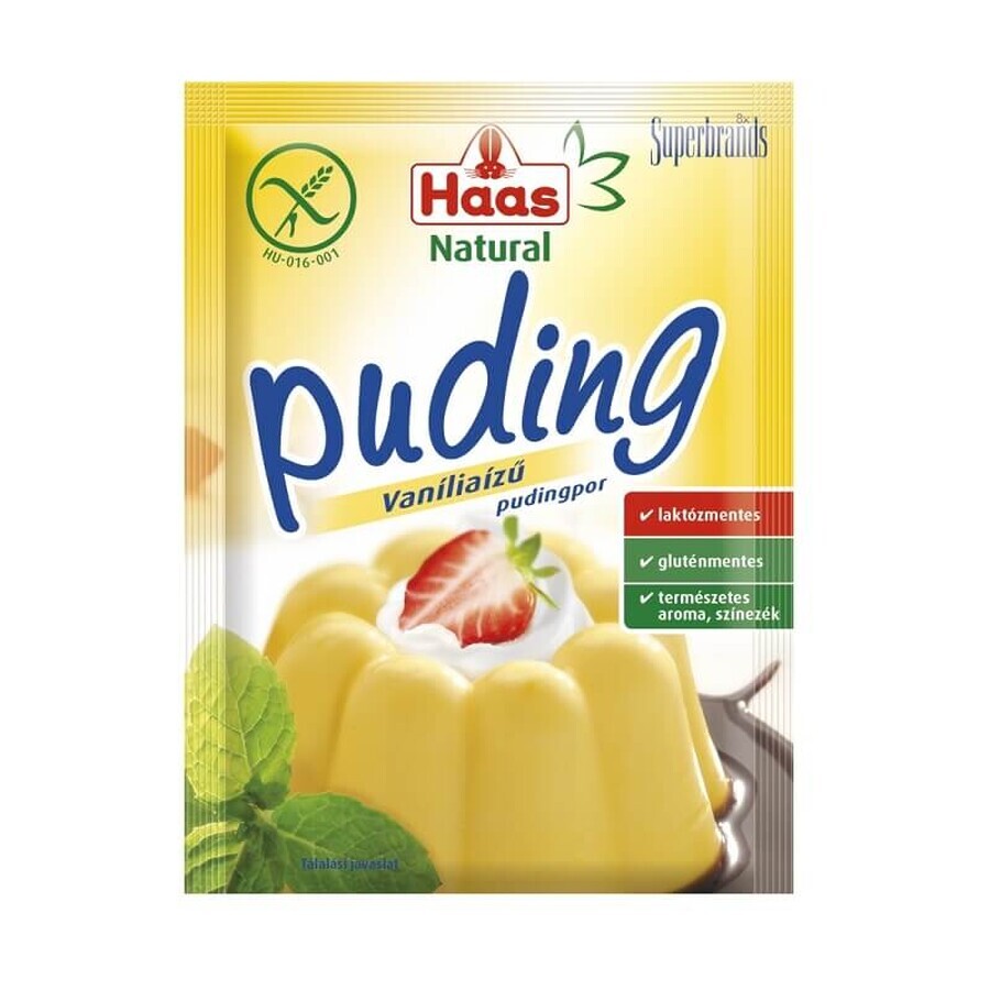 Glutenfreies Vanillepuddingpulver, 40 g, Haas Natural