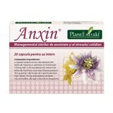 Anxin, 20 capsule, Plant Extrakt