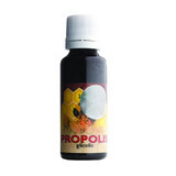 Propolis glycolzuur, 30 ml, Parapharm