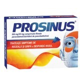 Prosinus 500 mg/30 mg, 20 filmomhulde tabletten, Fiterman