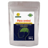 Pulbere de Ginkgo biloba și Ginseng Phyto cerebral, 200 g, Phyto Biocare