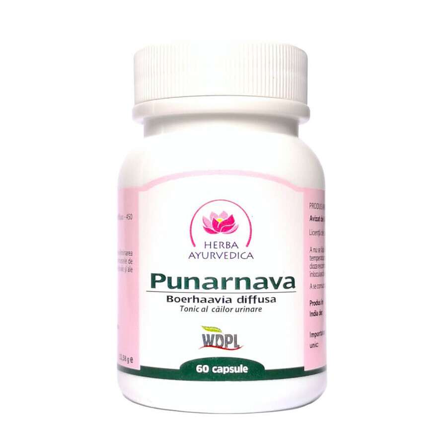 Punarnava, tonicum voor de urinewegen, 60 capsules, Ayurvedisch kruid