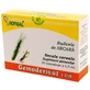 Rye Root Gemoderivat, 30 single doses, Hofigal