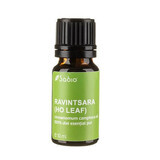 RAVINTSARA (HO LEAF), etherische olie (cinnamomum camphora), 10 ml, Sabio