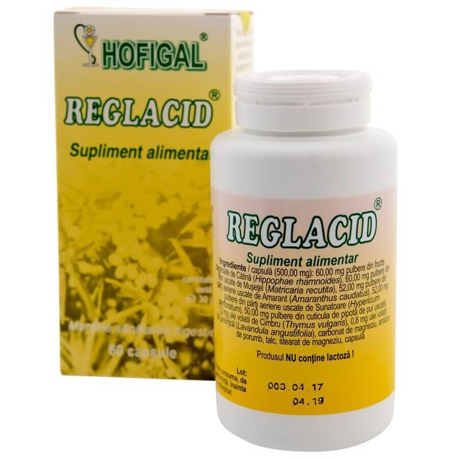 Reglacid, 60 gélules, Hofigal