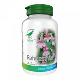 Rehmannia, 60 capsules, Pro Natura