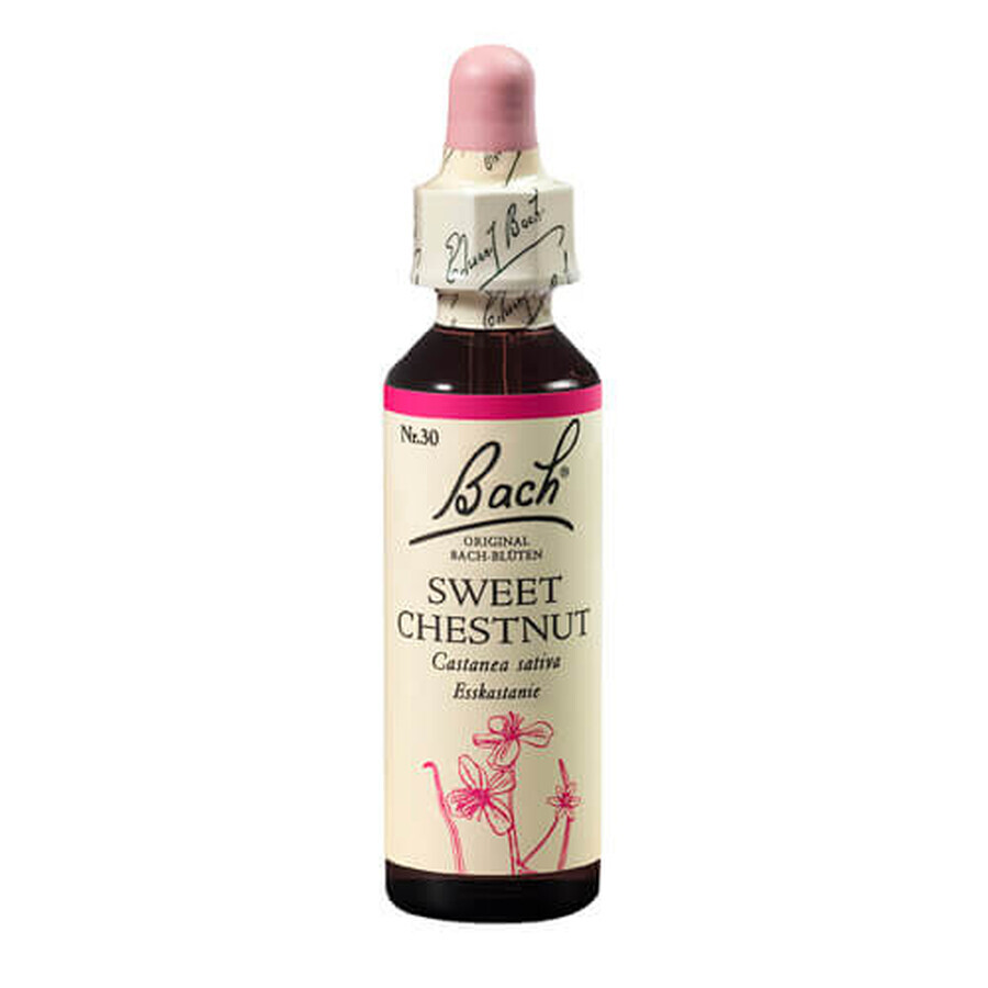 Flower Remedy Sweet Chestnut Original Bach Edible Chestnut Drops, 20 ml, Rescue Remedy