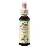 Walnut Walnut Original Bach Flower Remedy, 20 ml, Rescue Remedy