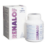Renalof 325 mg, 90 capsules, Catalysis