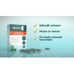 Renofix Stancosimagne, 75 capsules, Doppelherz