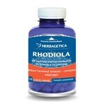 Rhodiola, 120 capsules, Herbagetica