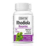 Rhodiola Rosavins 500mg, 30 gélules végétales, Zenyth