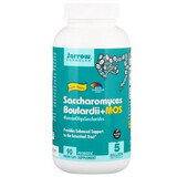 Saccharomyces Boulardii Mos Jarrow Formulas, 90 gélules, Secom