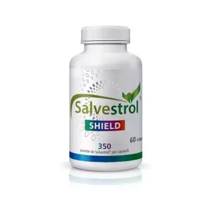 Salvestrol Shield, 60 capsules, Hyperfarm