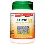 Salie, 40 capsules, Favisan