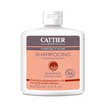 Shampooing bio au romarin pour cheveux gras, 250 ml, Cattier
