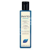 Shampoo voor vet haar voor veelvuldig gebruik Phytopanama, 250 ml, Phyto