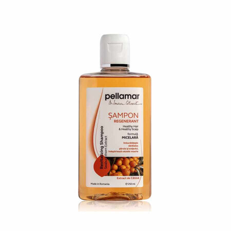 Sampon regenerant cu extract de catina Beauty Hair, 250 ml, Pellamar