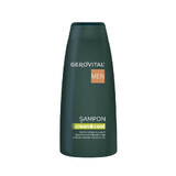 Shampoo voor dagelijks gebruik Gerovital Men, 400 ml, Farmec