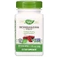 Schizandra Frucht Natures Way, 100 Kapseln, 580 mg, Secom