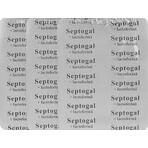 Septogal+lactofein, 27 comprimés, Aesculap