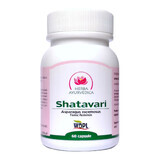 Shatavari, 60 capsules, Ayurvedisch kruid