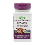 Shiitake Maitake SE Natures Way, 60 gélules, Secom