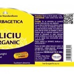 Silicium organique, 120 gélules, Herbagetica