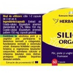 Organisch Silicium, 60 capsules, Herbagetica