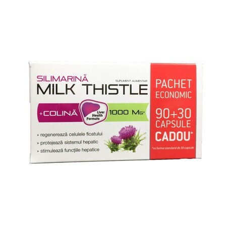 Silymarine + Choline Mariadistel 1000 mg, 90 + 30 capsules, Zdrovit