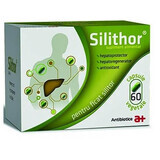 Silithor, 60 capsules, Antibiotice SA