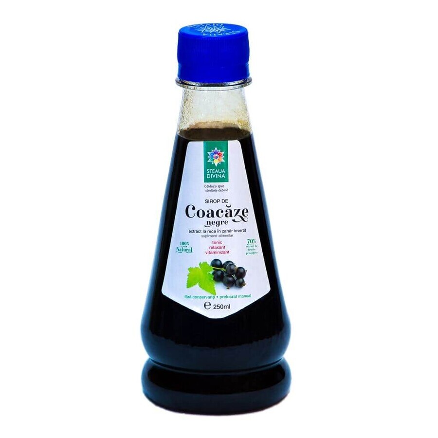 Zwarte Bessensiroop, 250 ml, Divine Star