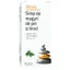 Dennen- en sparrenknoppen siroop, 150 ml, Alevia