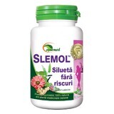 Slemol, 50 tabletten, Ayurmed