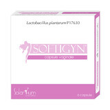 Softigyn, 6 vaginale capsules, Solartium Group