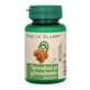 Spirulina en Ganoderma, 60 tabletten, Dacia Plant