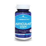 Articular Stem, 60 capsules, Herbagetica