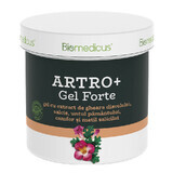 Gel Arthro fort avec de l'extrait de griffe du diable, du saule, du beurre de terre, du camphre et du salicylate de méthyle, 250 ml, Biomedicus