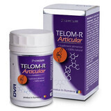 Telom-R Articular, 120 capsules, Dvr Pharm