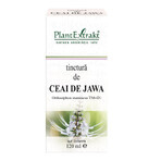 Jawa Thee Tinctuur, 120 ml, Extrakt Plant