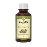 Teinture de Crétisoara, 200 ml, Faunus Plant