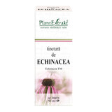 Tintura di echinacea, 50 ml, estratto vegetale