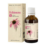 Echinacea tinctuur, 50ml, Dacia Plant