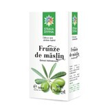 Maslin Tinktur, 50 ml, Göttlicher Stern