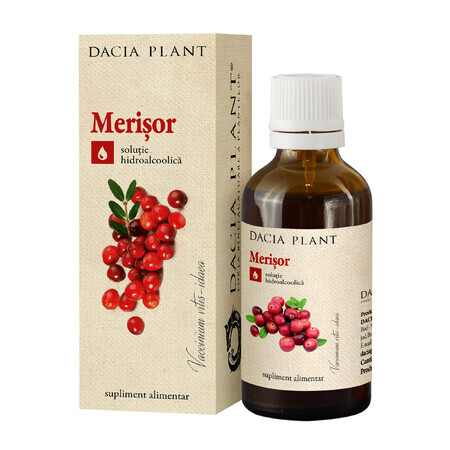 Cranberry tinctuur, 50 ml, Dacia Plant