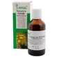 Paardenbloem tinctuur, 50 ml, Hofigal