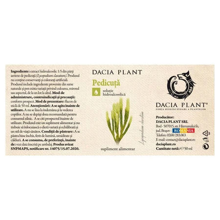 Pedicuta Tinctuur, 50 ml, Dacia Plant